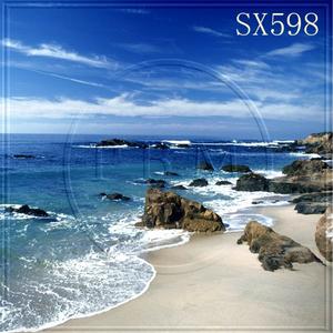 8'x8' SX598B88